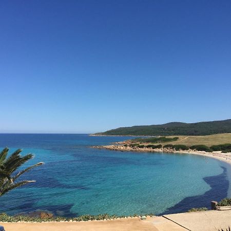 Ajaccio Magnifique T2 45M2 Neuf 5 Personnes Clim Wifi Stationnement Gratuit Centre Ville Plage A 300M Exteriör bild