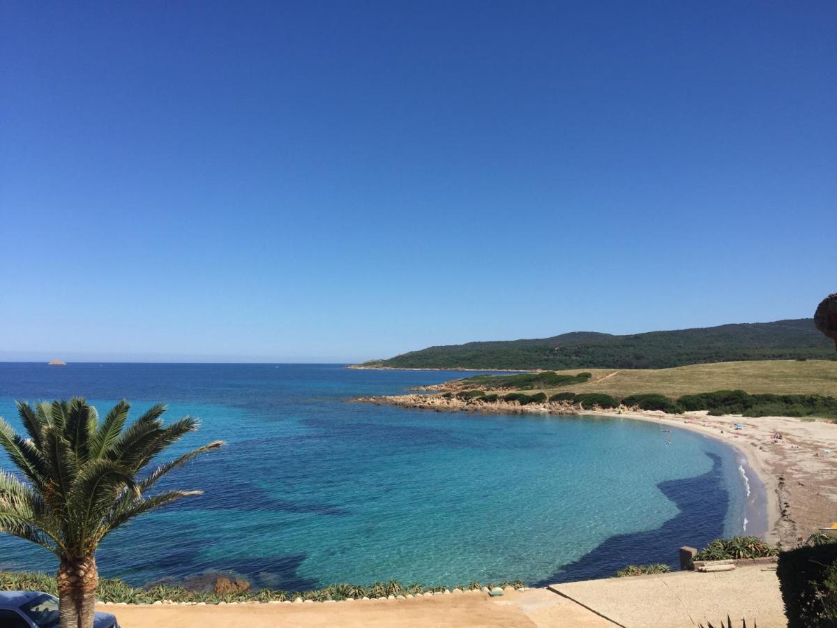 Ajaccio Magnifique T2 45M2 Neuf 5 Personnes Clim Wifi Stationnement Gratuit Centre Ville Plage A 300M Exteriör bild