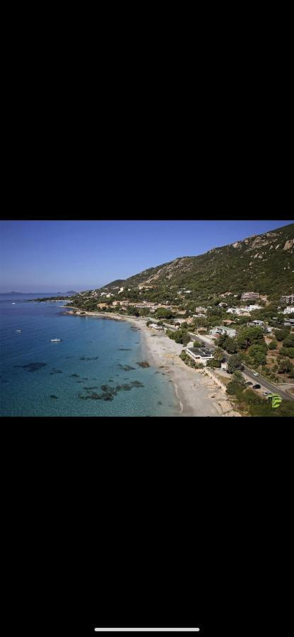 Ajaccio Magnifique T2 45M2 Neuf 5 Personnes Clim Wifi Stationnement Gratuit Centre Ville Plage A 300M Exteriör bild