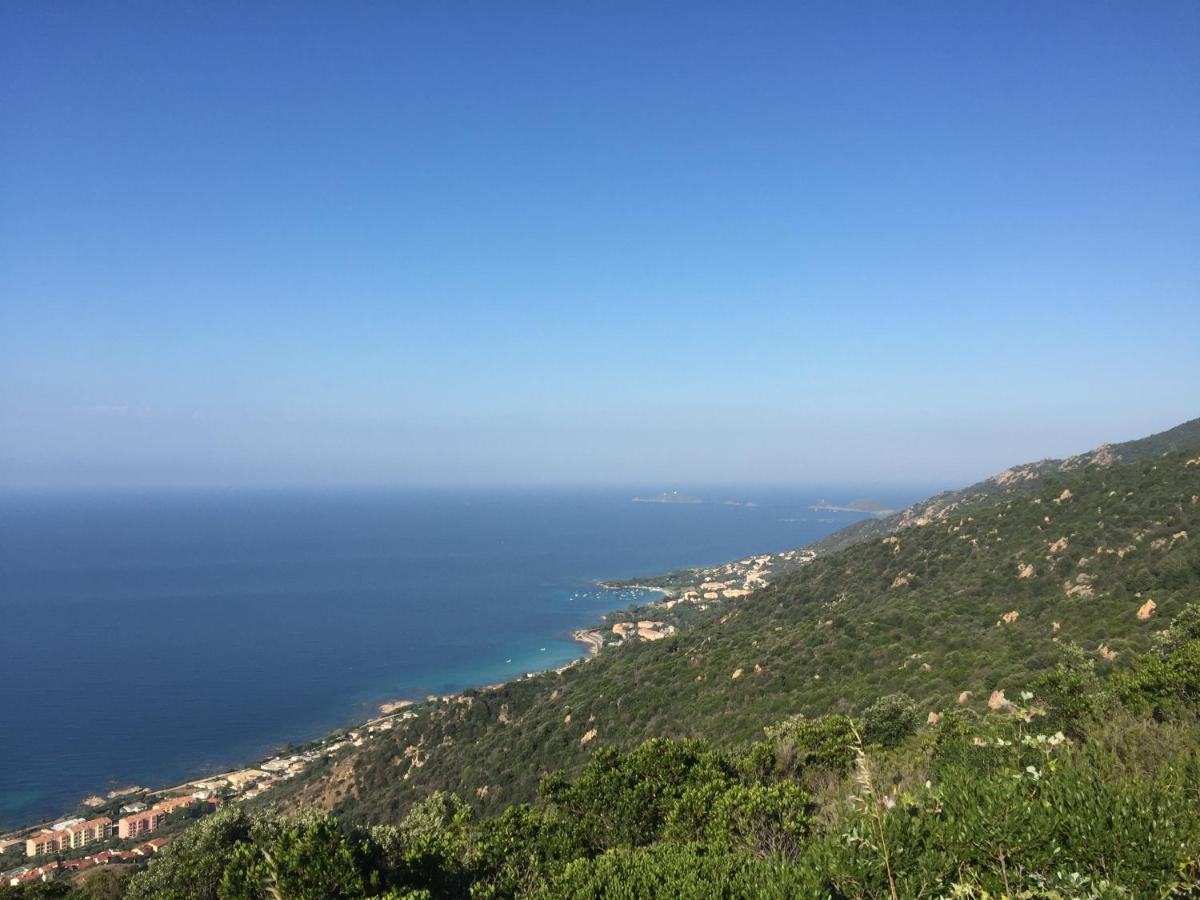 Ajaccio Magnifique T2 45M2 Neuf 5 Personnes Clim Wifi Stationnement Gratuit Centre Ville Plage A 300M Exteriör bild